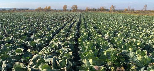 Фото пресс-службы Администрации Усть-Абаканского района Хакасии